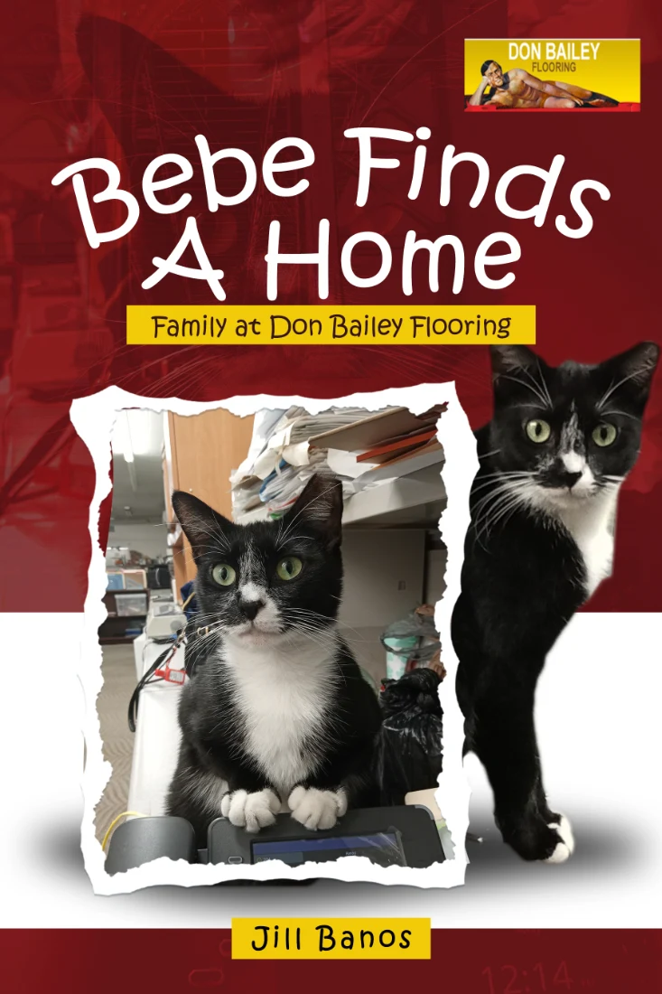 Bebe Finds a Home — cover
